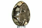 Septarian Dragon Egg Geode - Sparkly Black Crystals #308832-1